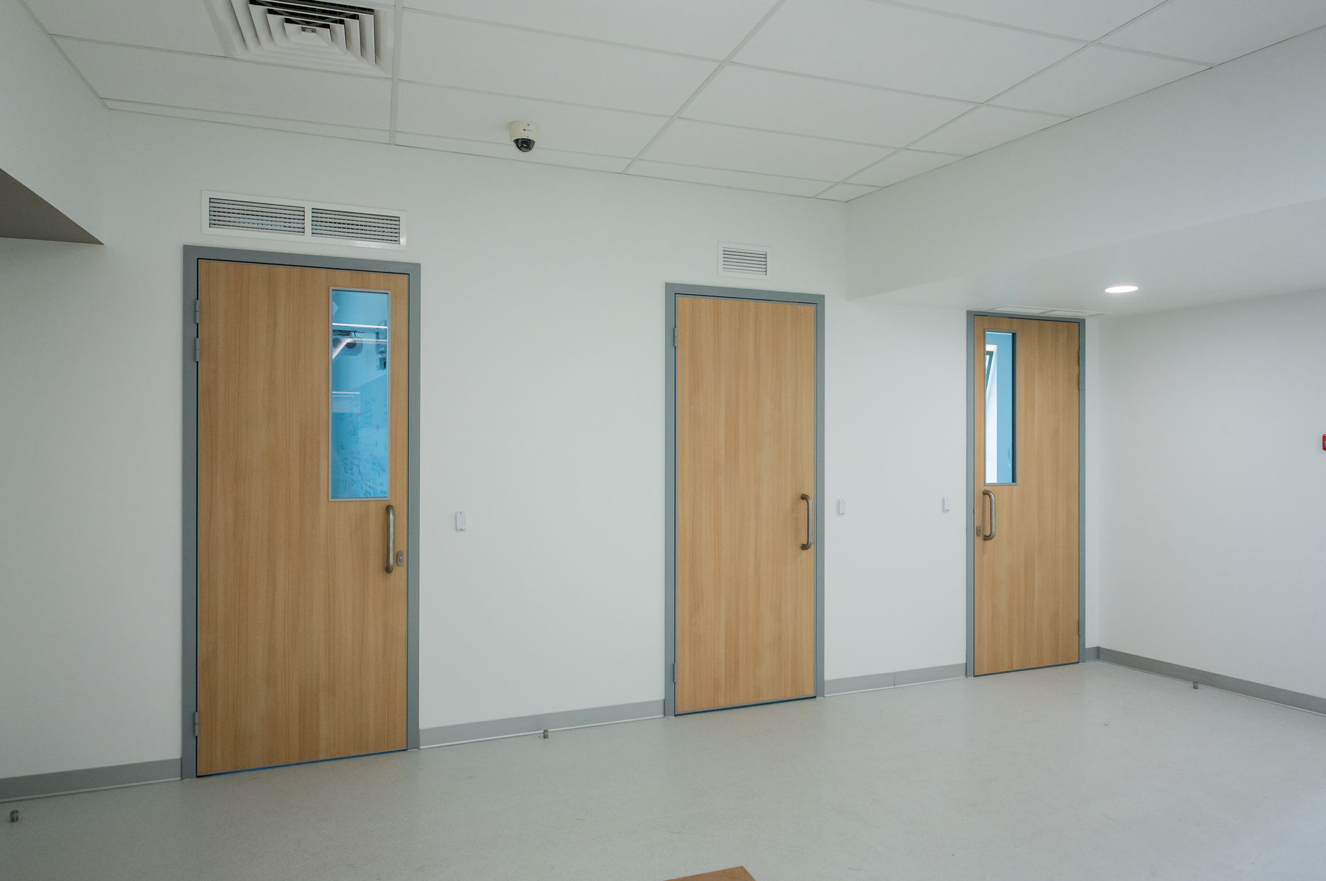 Фото Двери из стекла и ЛДСП NAYADA-Vitero