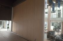 В частную школу 